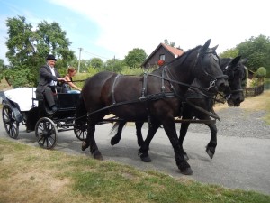 16.8.2015 Bryčka do Dřízeňského údolí
