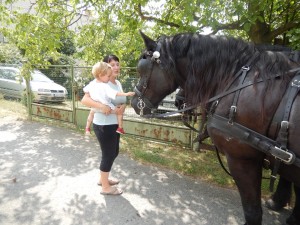 16.8.2015 Bryčka do Dřízeňského údolí